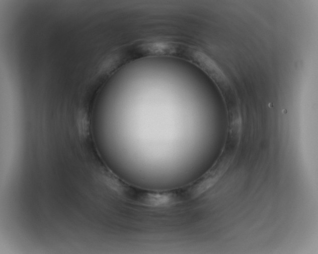 X0000111500469200907211034