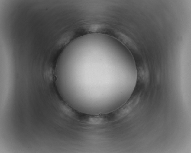 X0000111500470200907211034