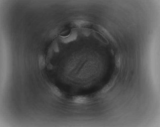 X0000111500471200907211034