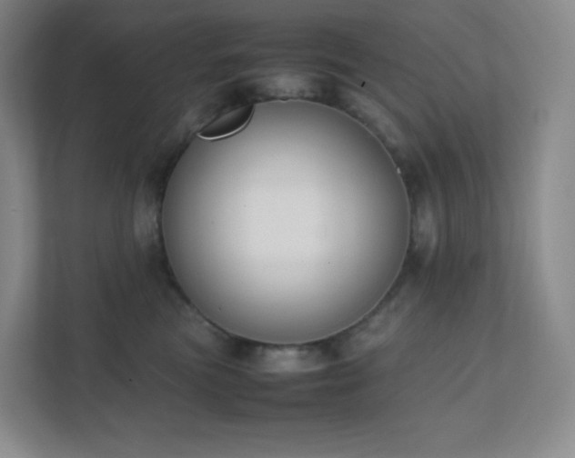 X0000111500473200907211034