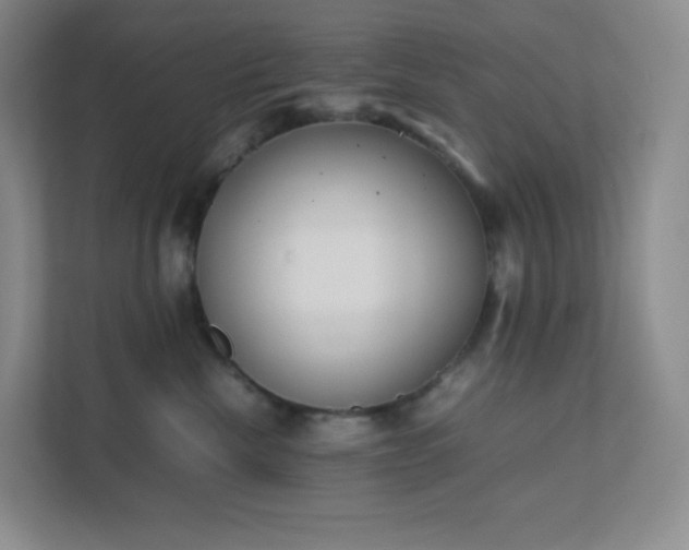 X0000111500476200907211034