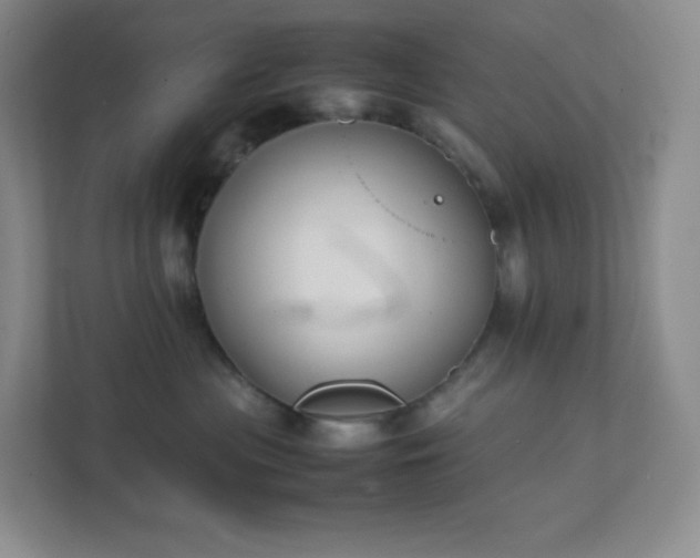 X0000111500477200907211034