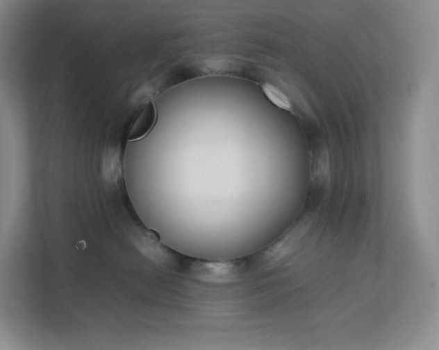 X0000111500478200907211034