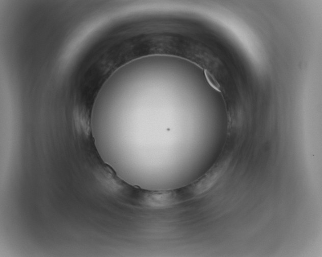 X0000111500479200907211034