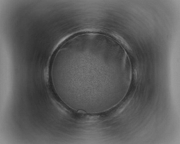 X0000111500484200907211033