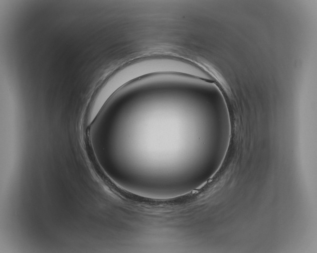 X0000111500485200907211033