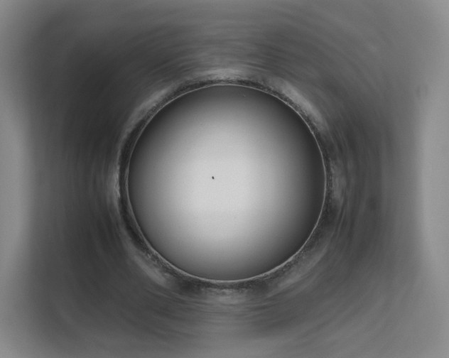 X0000111500486200907211033