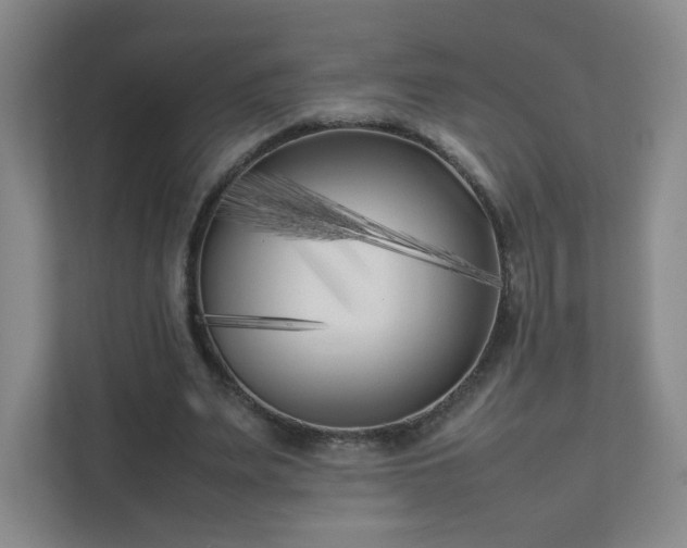 X0000111500487200907211033