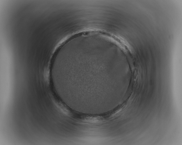 X0000111500488200907211033