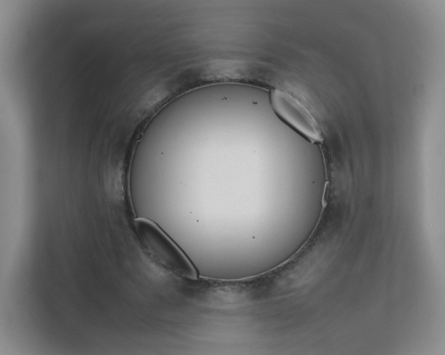 X0000111500489200907211033