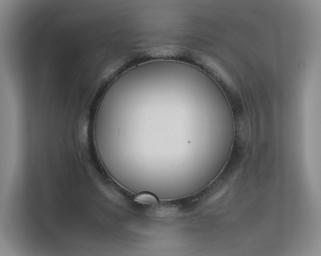 X0000111500491200907211033