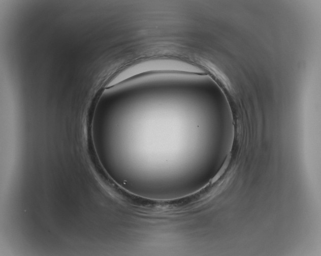 X0000111500493200907211033