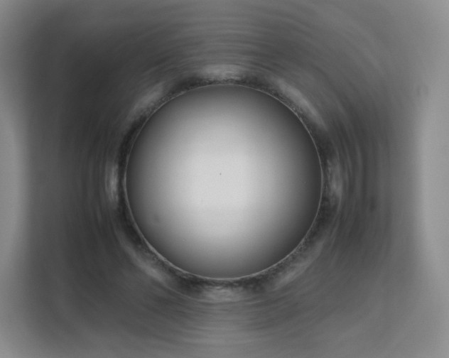 X0000111500494200907211033