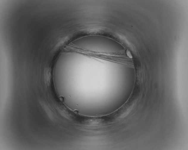 X0000111500495200907211033