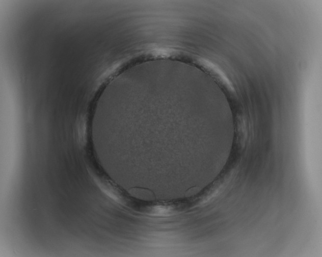 X0000111500496200907211033