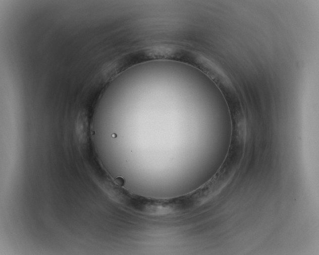 X0000111500498200907211033