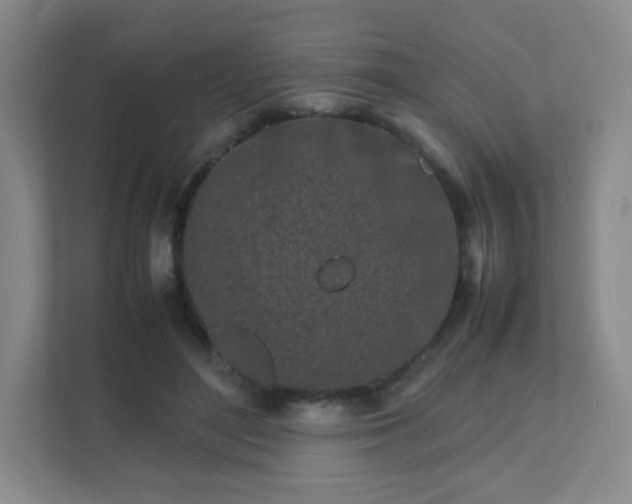 X0000111500500200907211033