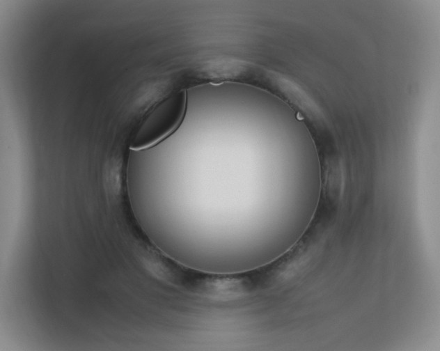 X0000111500501200907211033