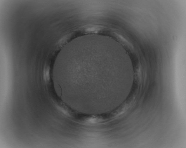 X0000111500504200907211033