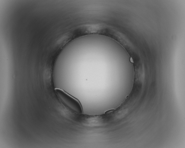 X0000111500505200907211033