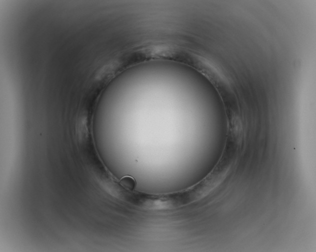 X0000111500506200907211033