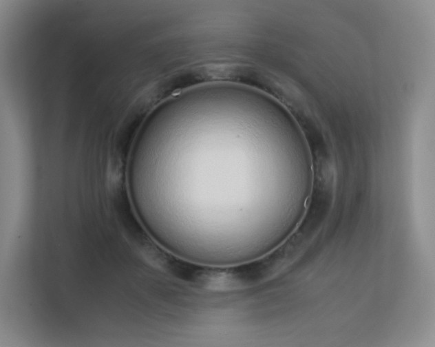 X0000111500507200907211033