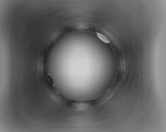 X0000111500512200907211033