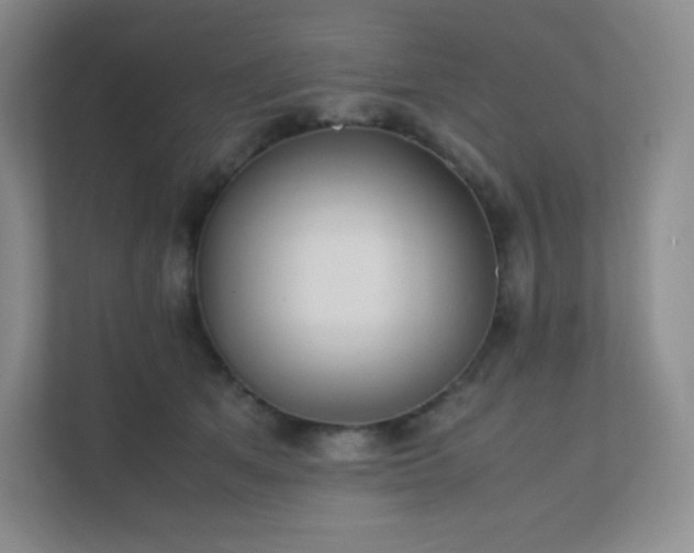 X0000111500513200907211033