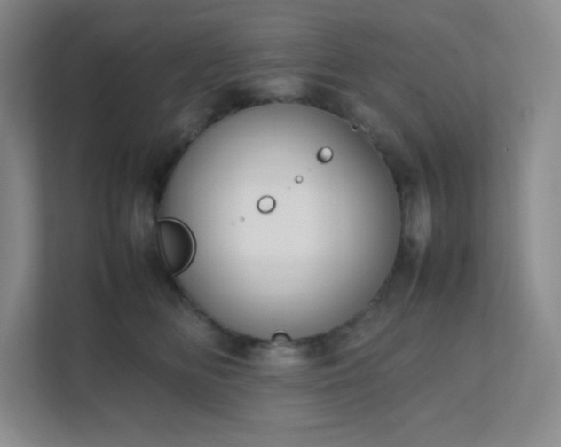 X0000111500518200907211033