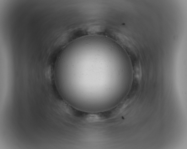 X0000111500519200907211033