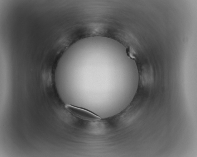 X0000111500520200907211033