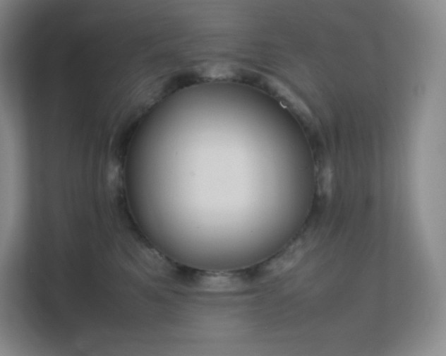 X0000111500521200907211033