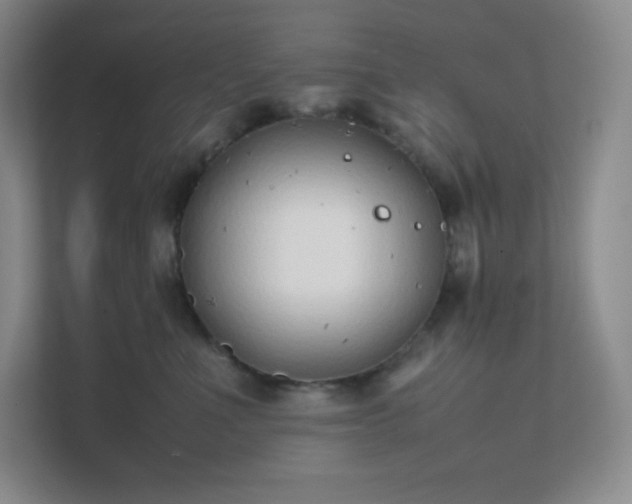 X0000111500523200907211033