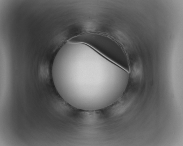 X0000111500524200907211033