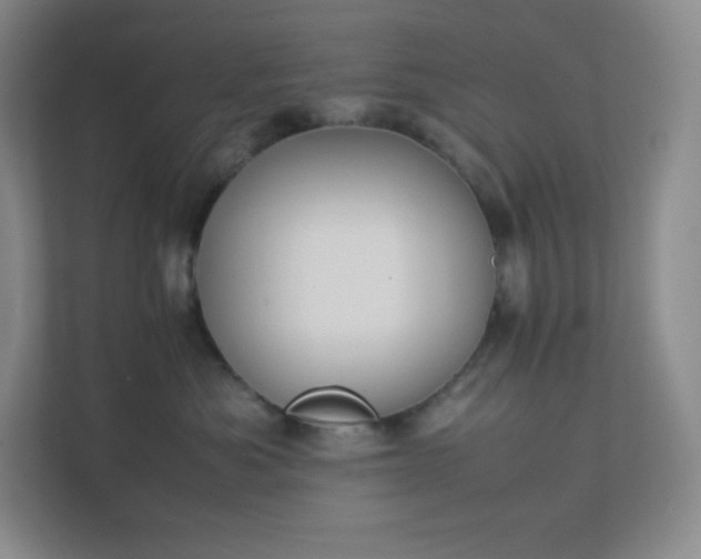 X0000111500525200907211033