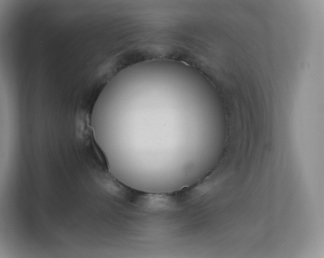 X0000111500528200907211033