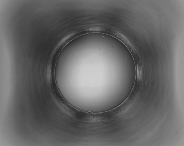 X0000111500531200907211032