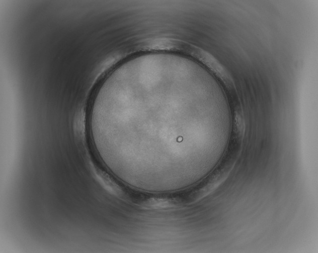 X0000111500534200907211032