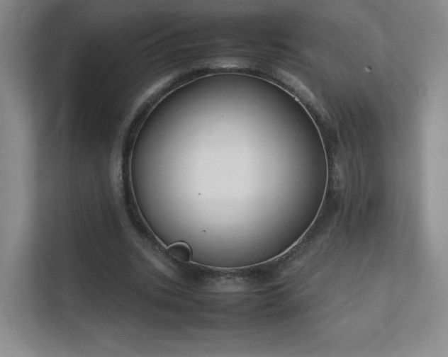 X0000111500535200907211032