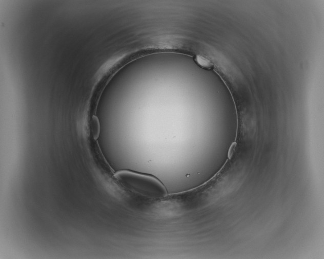 X0000111500536200907211032