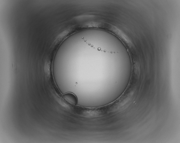 X0000111500537200907211032