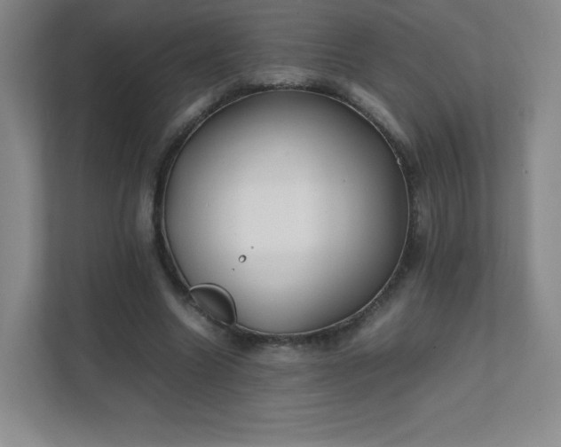 X0000111500538200907211032