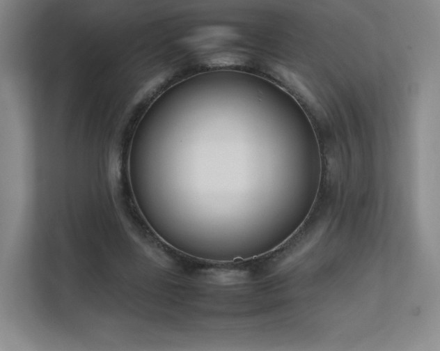 X0000111500539200907211032