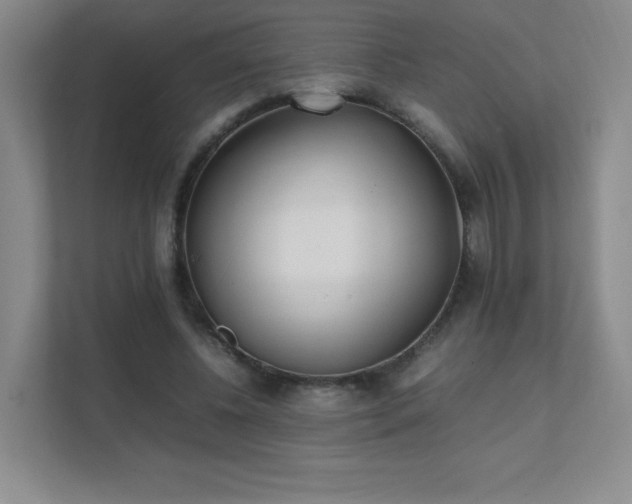 X0000111500540200907211032