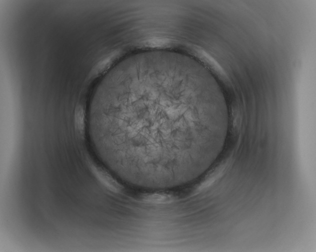X0000111500542200907211032