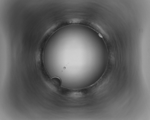 X0000111500543200907211032