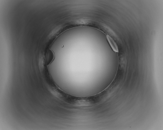 X0000111500544200907211032