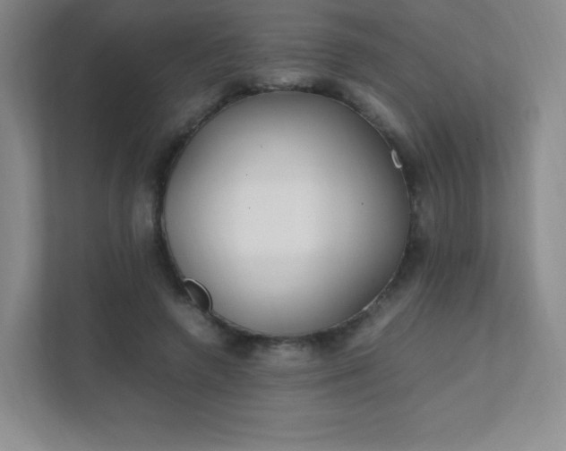 X0000111500546200907211032