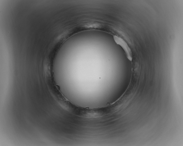 X0000111500547200907211033