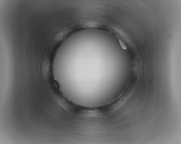 X0000111500548200907211033